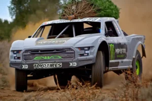 Weihnachtsbaum transportieren