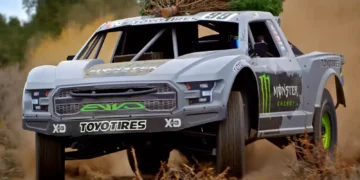 Weihnachtsbaum transportieren